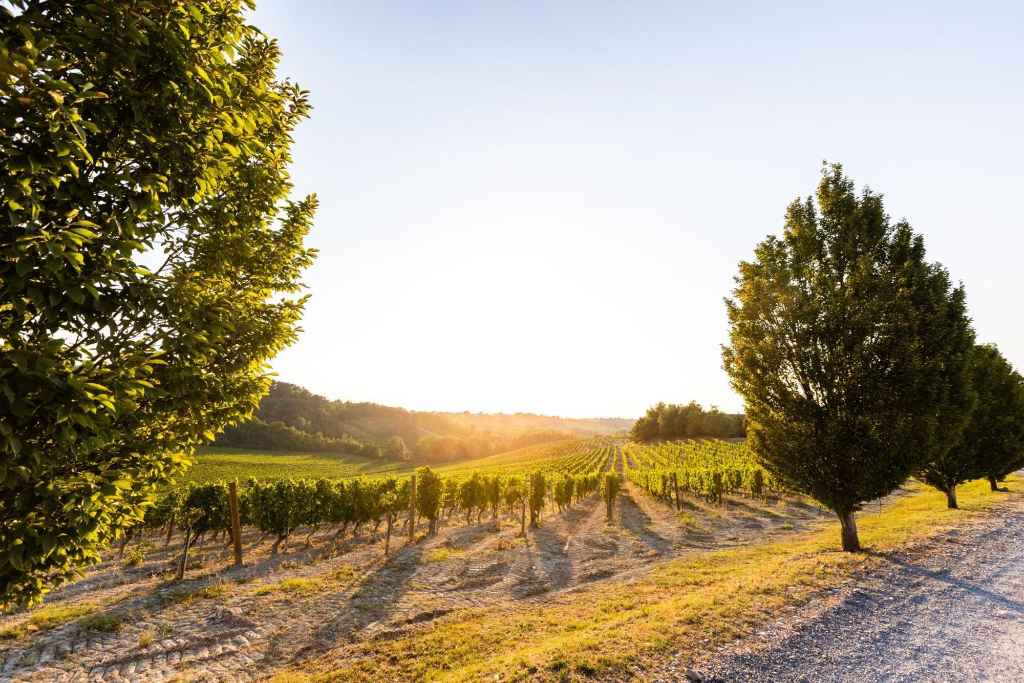 Tenuta La Meirana Gavi Exterior photo