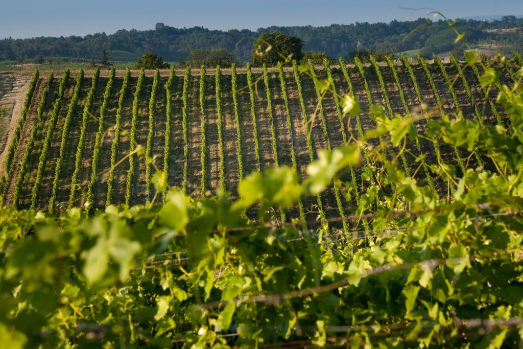 Tenuta La Meirana Gavi Exterior photo