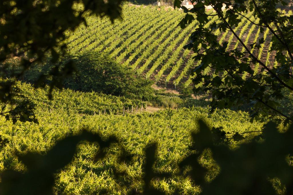 Tenuta La Meirana Gavi Exterior photo